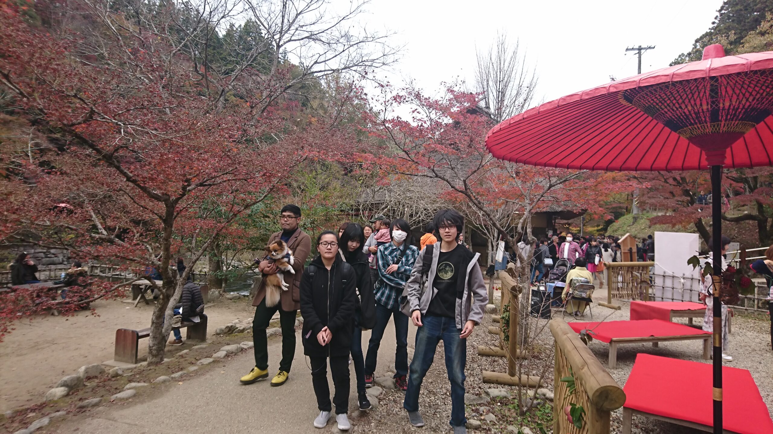 さくら国際高等学校