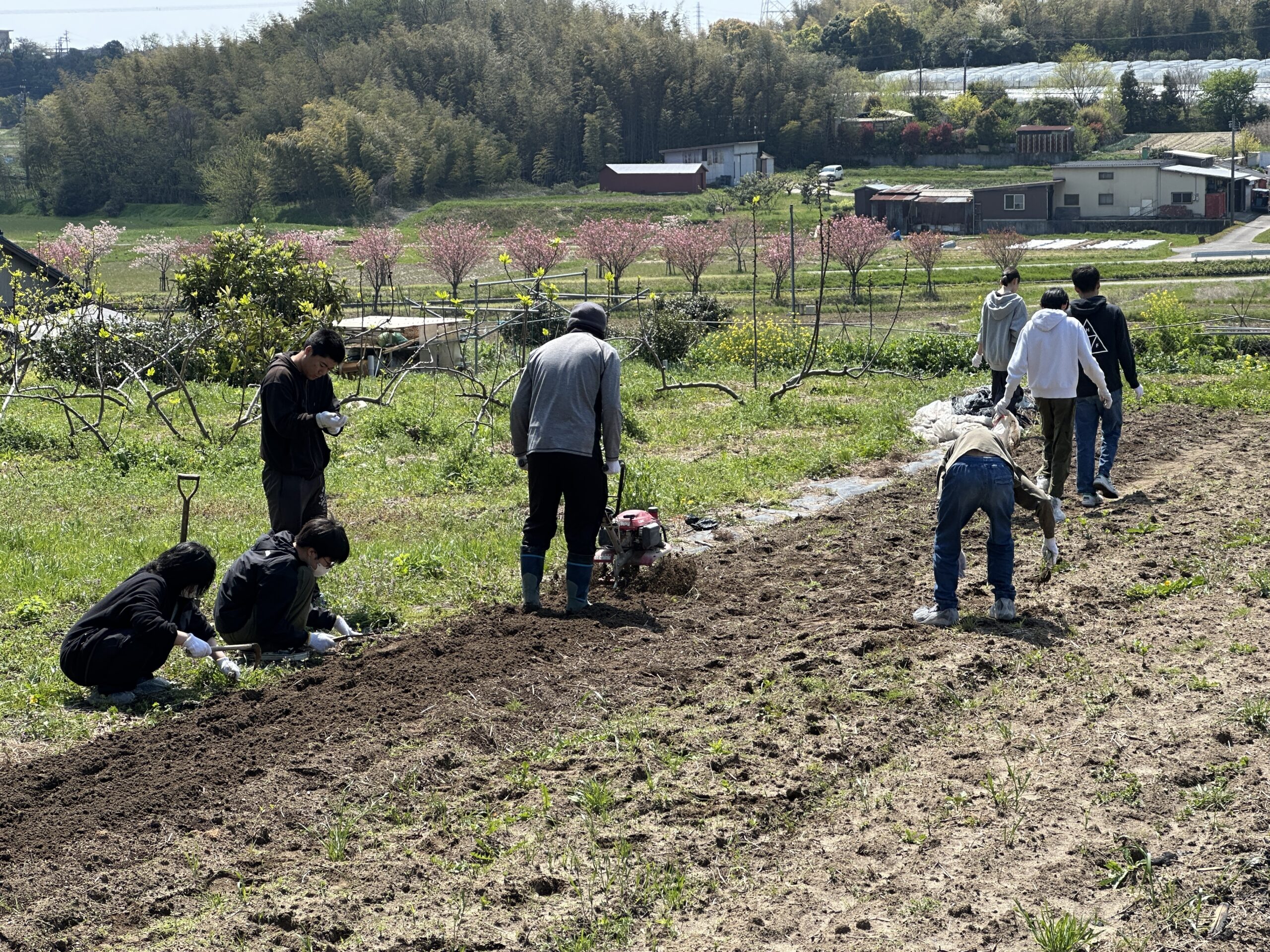 さくら国際高等学校