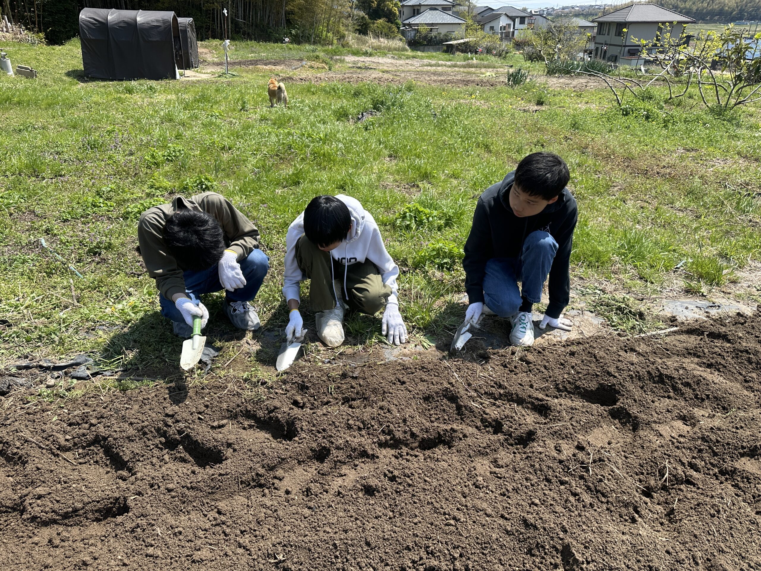 さくら国際高等学校