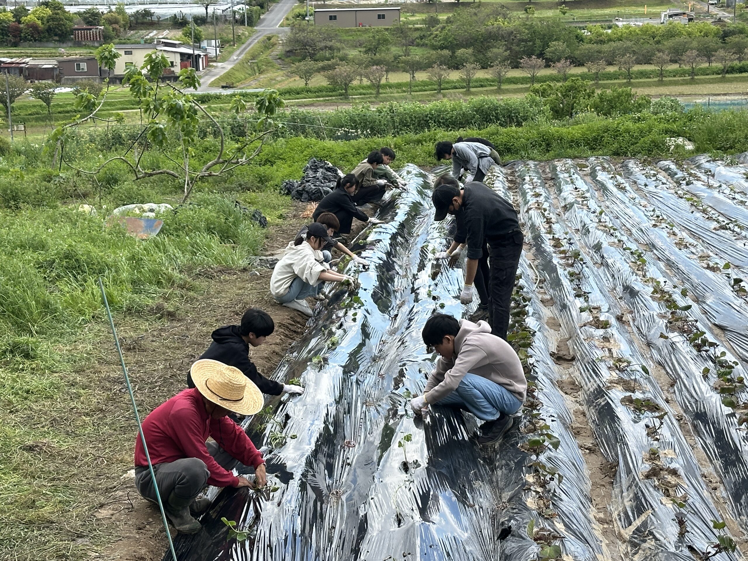 さくら国際高等学校